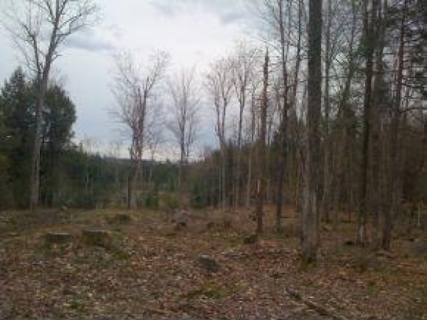 Listing Image #1 - Land for sale at Battle Row, Hyde Park VT 05655