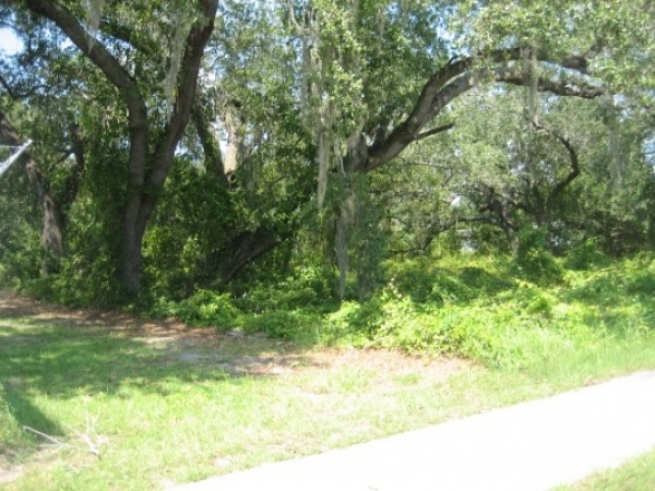 Listing Image #1 - Land for sale at Michigan Ave, Kissimmee FL 34744