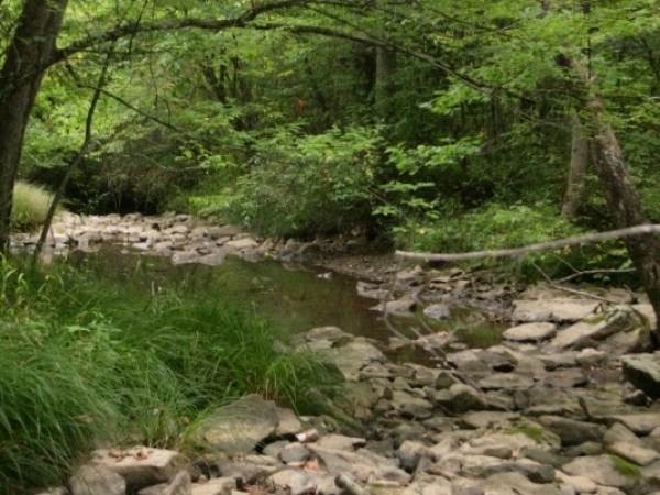 Listing Image #1 - Land for sale at Rock River &amp; Rocky Branch Rd, Princeton WV 24740