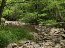Listing Image #1 - Land for sale at Rock River &amp; Rocky Branch Rd, Princeton WV 24740
