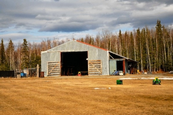 Listing Image #1 - Farm for sale at Mile 311 Parks Highway, Nenana, Alaska 99760 AK 99760