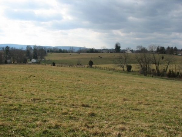 Listing Image #1 - Land for sale at 675 Old Swede Road, Douglassville PA 19518