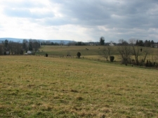 Listing Image #1 - Land for sale at 675 Old Swede Road, Douglassville PA 19518