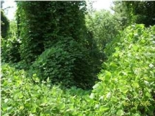 Listing Image #1 - Land for sale at Jordan Lake Road, Titus AL 36080 Listing Image #1 - Land for sale at Jordan Lake Road, Titus AL 36080