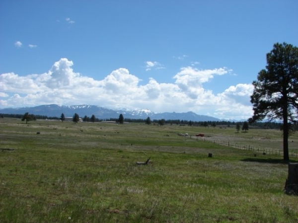 Listing Image #1 - Industrial for sale at X Condor Dr., Pagosa Springs CO 81147 Listing Image #1 - Industrial for sale at X Condor Dr., Pagosa Springs CO 81147