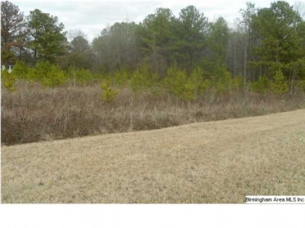 Listing Image #1 - Land for sale at 126 Crossing Lane, Sterrett AL 35147