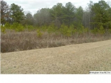 Listing Image #1 - Land for sale at 126 Crossing Lane, Sterrett AL 35147