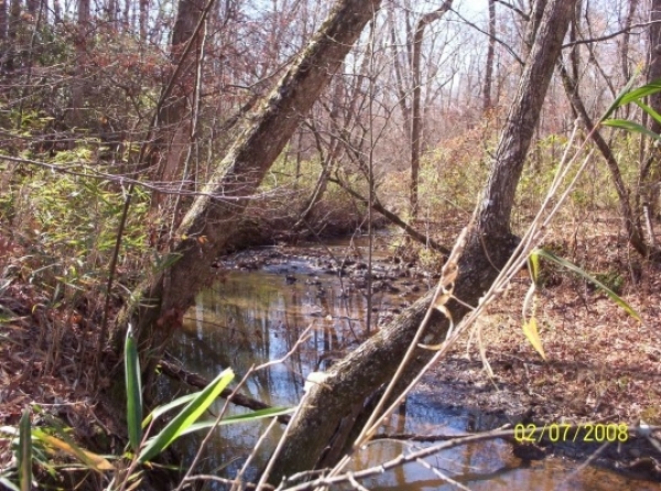 Listing Image #1 - Land for sale at County Rd 56, Woodland AL 36280 Listing Image #1 - Land for sale at County Rd 56, Woodland AL 36280