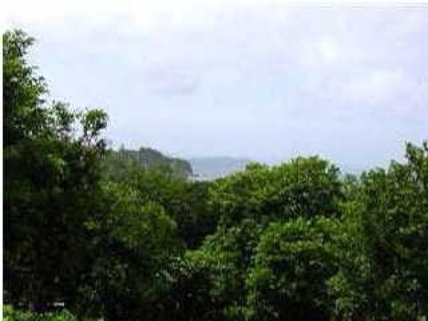Listing Image #1 - Land for sale at 537 JOHN LIGHTSEY RD, #1, Childersburg AL 35044 Listing Image #1 - Land for sale at 537 JOHN LIGHTSEY RD, #1, Childersburg AL 35044