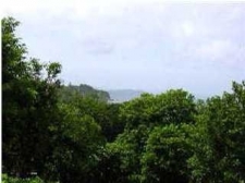 Listing Image #1 - Land for sale at 537 JOHN LIGHTSEY RD, #1, Childersburg AL 35044 Listing Image #1 - Land for sale at 537 JOHN LIGHTSEY RD, #1, Childersburg AL 35044