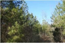 Land property for sale in Calera, AL