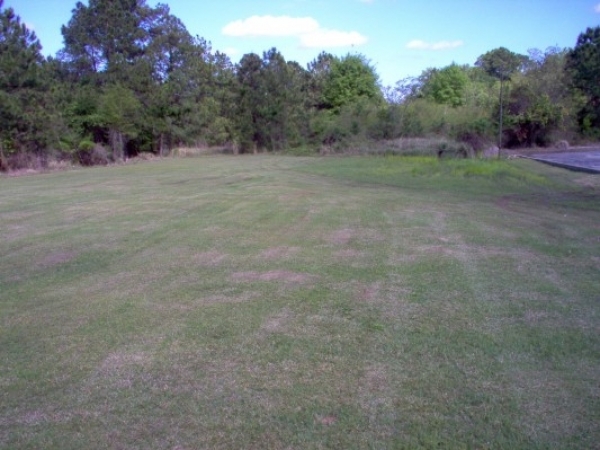 Listing Image #1 - Land for sale at 0 Tift Avenue, Tifton GA 31794