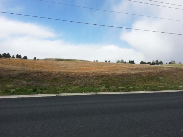 Listing Image #1 - Land for sale at 000 E Palouse River Dr, Moscow ID 83843