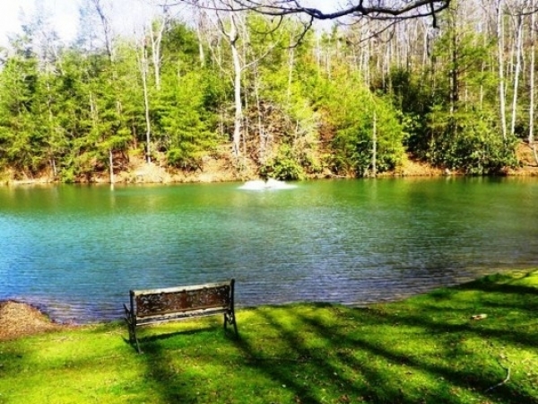Listing Image #1 - Resort for sale at 4406 Mountain Laurel Way, Pigeon Forge TN 37863 Listing Image #1 - Resort for sale at 4406 Mountain Laurel Way, Pigeon Forge TN 37863