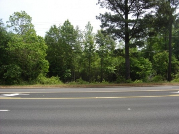 Listing Image #1 - Land for sale at 00 Hwy 43, McIntosh AL 36553 Listing Image #1 - Land for sale at 00 Hwy 43, McIntosh AL 36553