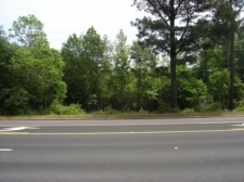 Listing Image #1 - Land for sale at 00 Hwy 43, McIntosh AL 36553 Listing Image #1 - Land for sale at 00 Hwy 43, McIntosh AL 36553