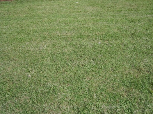 Listing Image #1 - Retail for sale at 18928 Hwy 82 West, Gordo AL 35464 Listing Image #1 - Retail for sale at 18928 Hwy 82 West, Gordo AL 35464