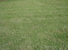 Listing Image #1 - Retail for sale at 18928 Hwy 82 West, Gordo AL 35464 Listing Image #1 - Retail for sale at 18928 Hwy 82 West, Gordo AL 35464