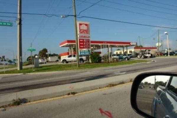 Listing Image #1 - Retail for sale at 201 Eucalyptus Avenue, Lake Placid FL 33852