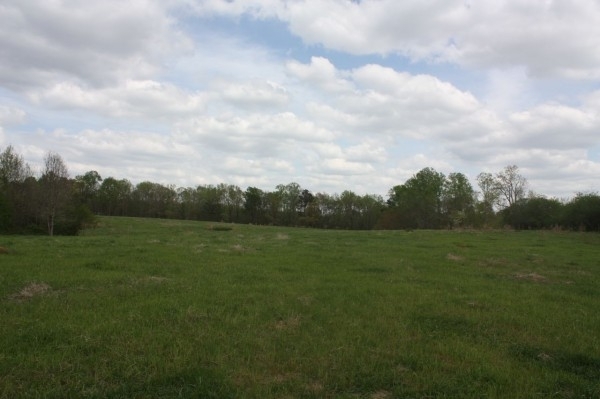 Listing Image #1 - Land for sale at 6268 Hwy 101, Temple GA 30179 Listing Image #1 - Land for sale at 6268 Hwy 101, Temple GA 30179