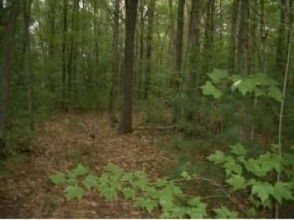Listing Image #1 - Land for sale at Route 4, Barrington NH 03825 Listing Image #1 - Land for sale at Route 4, Barrington NH 03825