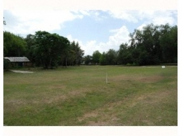 Listing Image #1 - Land for sale at 319 Chester Street, Minneola FL 34715