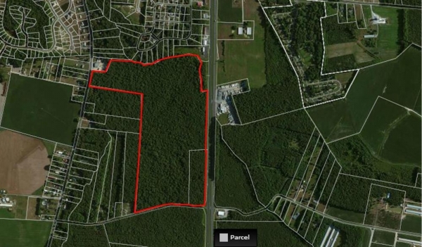 Listing Image #1 - Land for sale at US Rt. 13 Sussex Highway, Delmar DE 19940