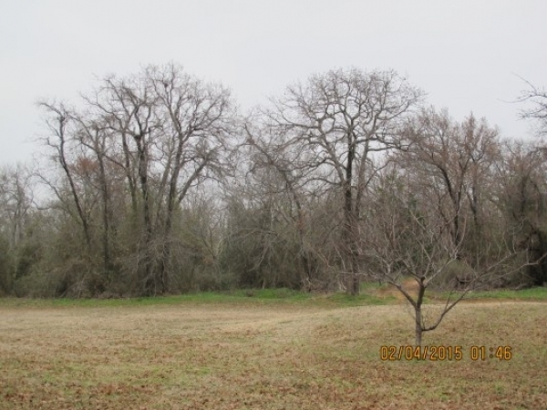 Listing Image #1 - Land for sale at 000 Mills Road, Denton TX 76208 Listing Image #1 - Land for sale at 000 Mills Road, Denton TX 76208