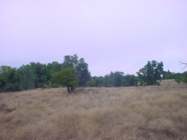 Listing Image #1 - Land for sale at 1215 Collyer Drive, Redding CA 96003