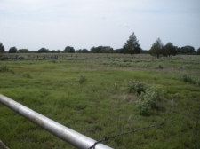 Listing Image #1 - Land for sale at 10030 County Road 4089, Scurry TX 75158