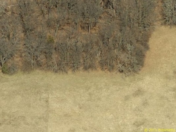 Listing Image #1 - Land for sale at 22126 Highway 65, East Bethel MN 55011