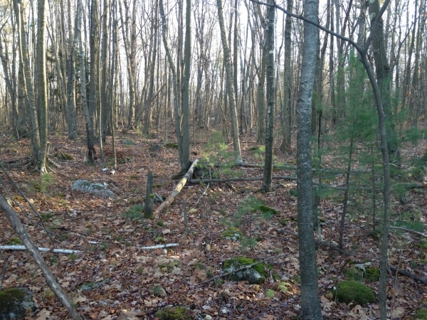 Listing Image #1 - Land for sale at 172 Londonderry Turnpike, Hooksett NH 03106