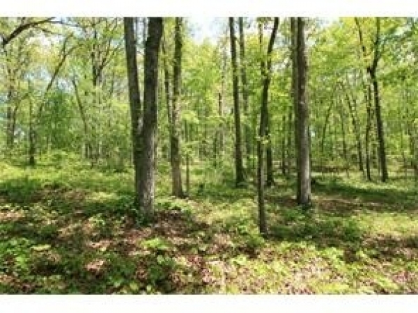 Listing Image #1 - Land for sale at 581 Grizzle Road, Dawsonville GA 30534