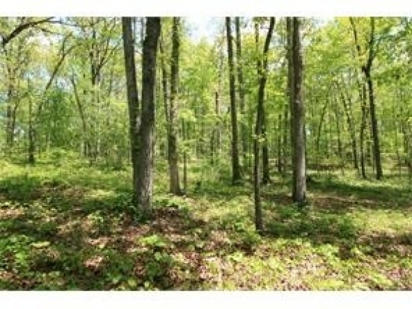 Listing Image #1 - Land for sale at 581 Grizzle Road, Dawsonville GA 30534 Listing Image #1 - Land for sale at 581 Grizzle Road, Dawsonville GA 30534