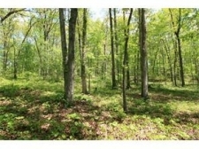 Listing Image #1 - Land for sale at 581 Grizzle Road, Dawsonville GA 30534 Listing Image #1 - Land for sale at 581 Grizzle Road, Dawsonville GA 30534