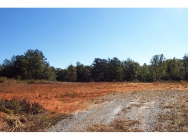 Listing Image #1 - Land for sale at 4151 Gainesville Highway, Buford GA 30518