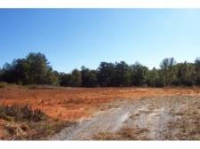 Listing Image #1 - Land for sale at 4151 Gainesville Highway, Buford GA 30518