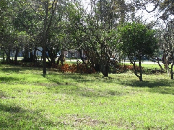 Listing Image #1 - Land for sale at 7411 Ehrlich Rd, Tampa FL 33625