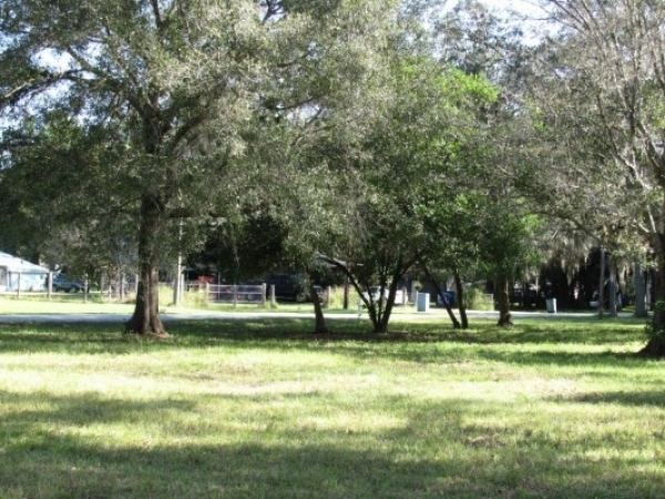 Listing Image #1 - Land for sale at 7409 Ehrlich Rd, Tampa FL 33625