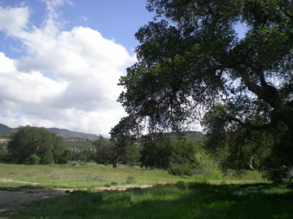 Listing Image #3 - Land for sale at Placerita Canyon Road, Santa Clarita CA 91321