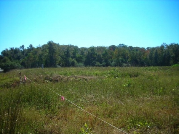 Listing Image #1 - Land for sale at 0 Zeigler Blvd., Mobile AL 36608 Listing Image #1 - Land for sale at 0 Zeigler Blvd., Mobile AL 36608
