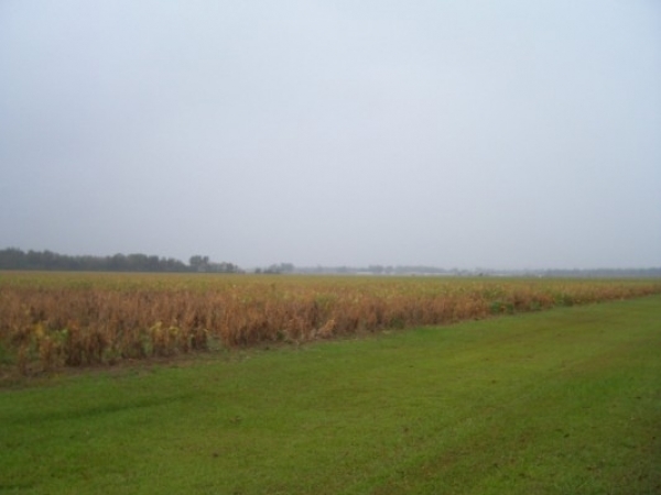 Listing Image #1 - Land for sale at 0 Highway 95, Elberta AL 36530 Listing Image #1 - Land for sale at 0 Highway 95, Elberta AL 36530