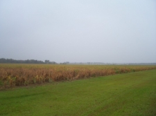 Listing Image #1 - Land for sale at 0 Highway 95, Elberta AL 36530 Listing Image #1 - Land for sale at 0 Highway 95, Elberta AL 36530