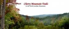 Listing Image #1 - Land for sale at 1850 Gettys Road, Hollis NC 28040