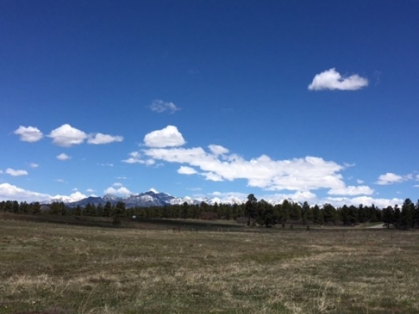 Listing Image #1 - Multi-Use for sale at 38 Vista Blvd., Pagosa Springs CO 81147 Listing Image #1 - Multi-Use for sale at 38 Vista Blvd., Pagosa Springs CO 81147
