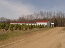 Listing Image #2 - Farm for sale at 3295 W. Sanilac Road., Vassar MI 48768