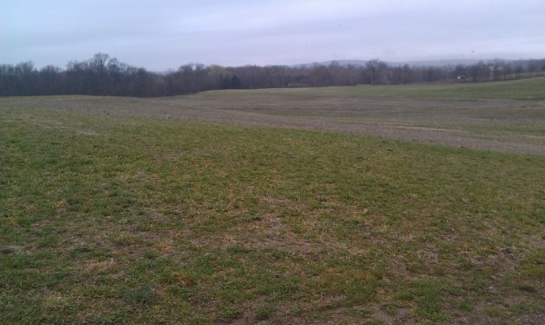 Listing Image #1 - Land for sale at 137 Bergen Circle, Slate Hill NY 10973 Listing Image #1 - Land for sale at 137 Bergen Circle, Slate Hill NY 10973
