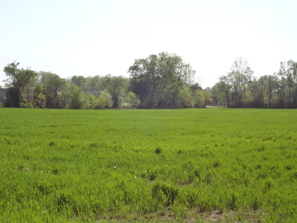 Listing Image #1 - Land for sale at 7701-7800 Bluffton Road, Fort Wayne IN 46809