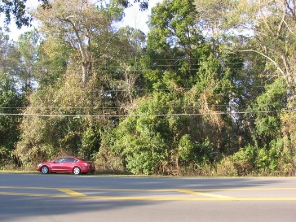 Listing Image #1 - Land for sale at E. Paul Russell, Tallahassee FL 32301