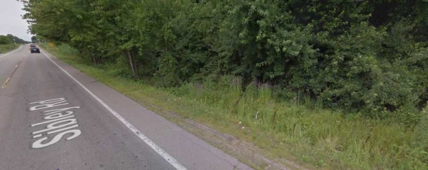 Listing Image #1 - Land for sale at 25002 Sibley Road, Brownstown Charter Township MI 48174